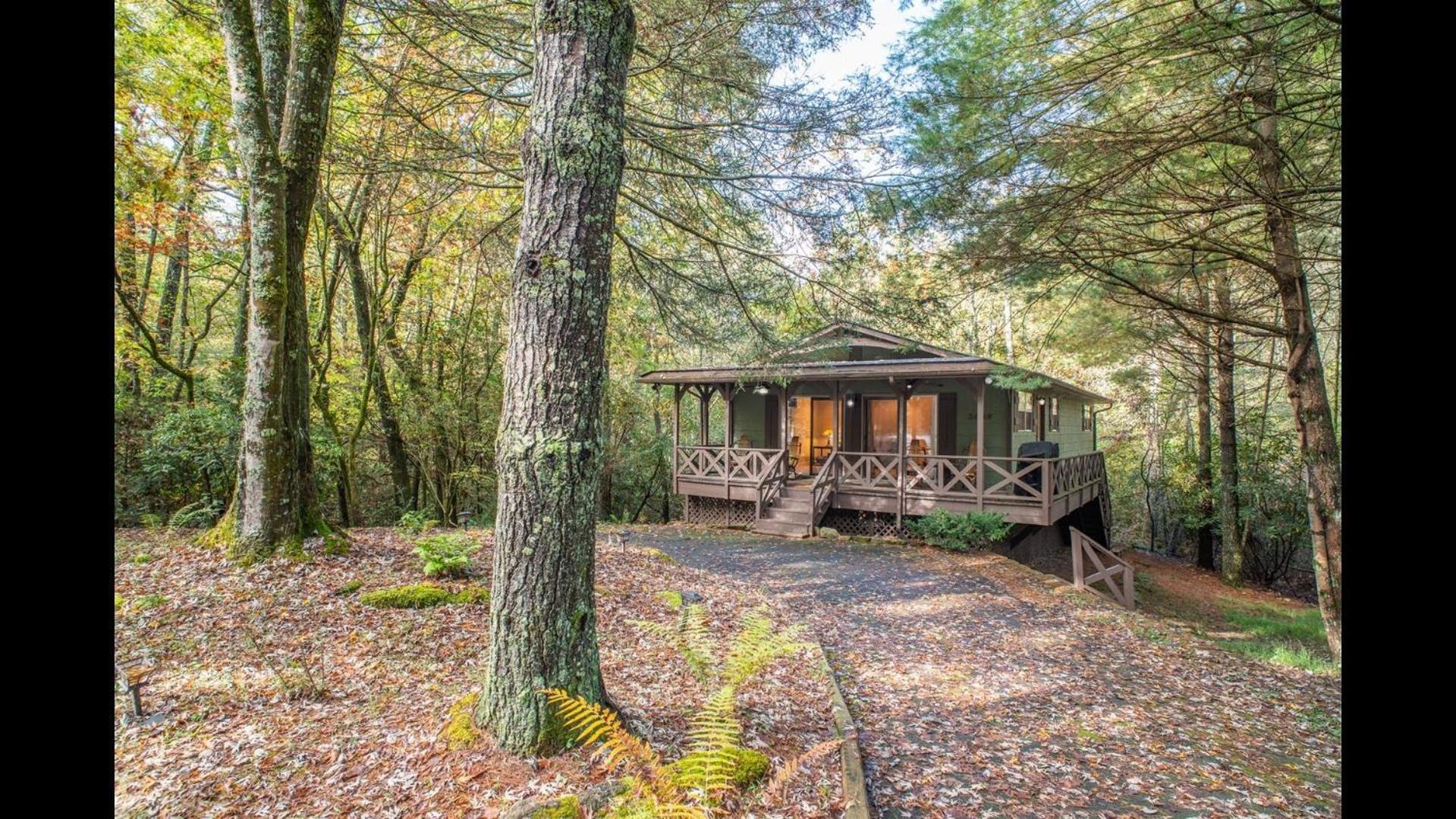 Shady Creek Cabin Villa Brevard Exterior photo